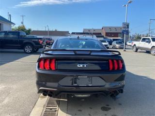 2022 Ford Mustang GT Premium  - Navigation - Leather Seats Photo
