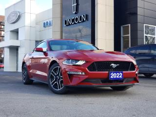 New 2022 Ford Mustang GT Coupe Premium for sale in Kingston, ON