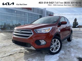 Used 2019 Ford Escape SE for sale in Red Deer, AB
