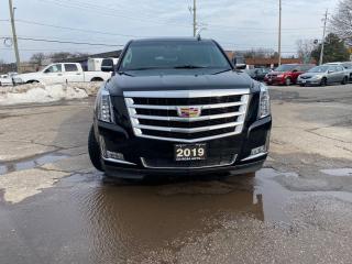 2019 Cadillac Escalade ESV 4WD ESV  Luxury NAVIGATION HEADS UP SUNROOF NO ACC - Photo #11