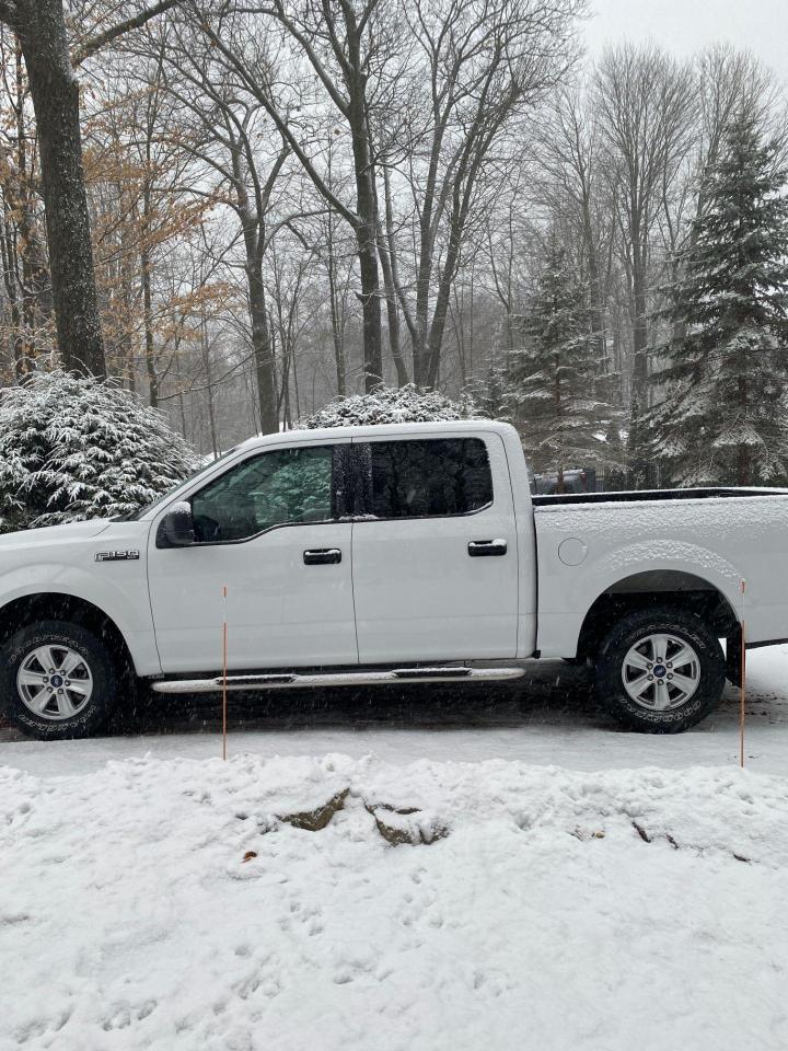 2019 Ford F-150 XL - Photo #3