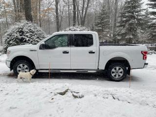 Used 2019 Ford F-150 XL for sale in Sutton West, ON