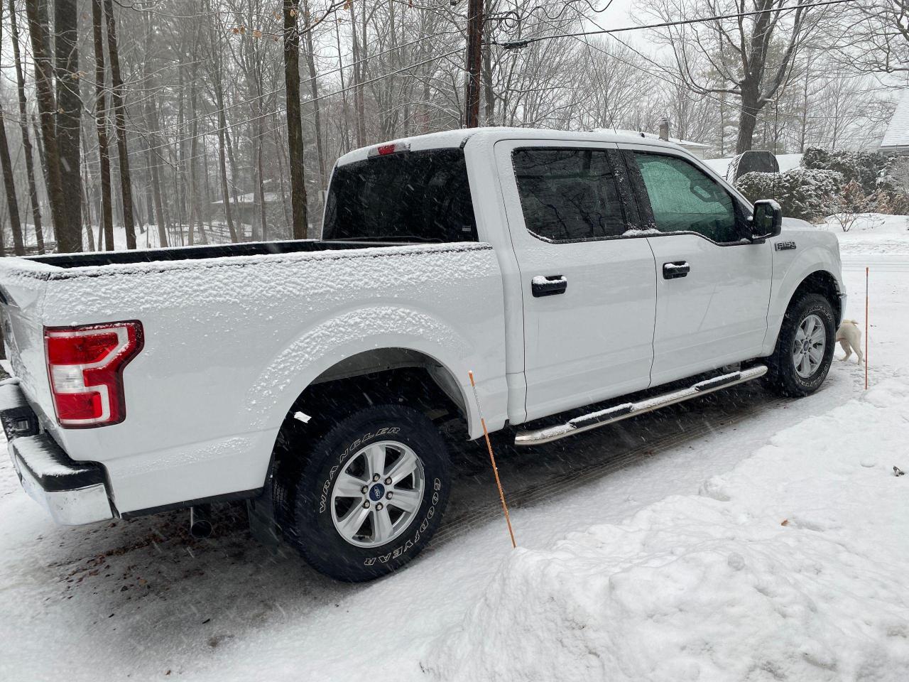 2019 Ford F-150 XL - Photo #4