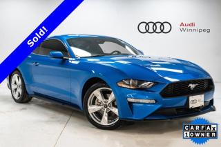 Used 2019 Ford Mustang | Adaptive Cruise | 19 Inch Rims | Local Trade for sale in Winnipeg, MB