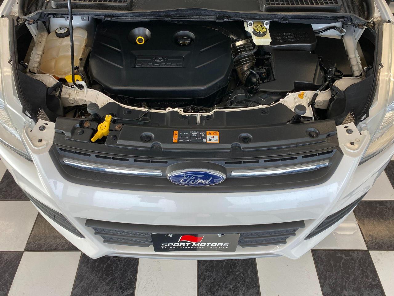 2013 Ford Escape SE+New Brakes+Heated Seats+CLEAN CARFAX - Photo #7
