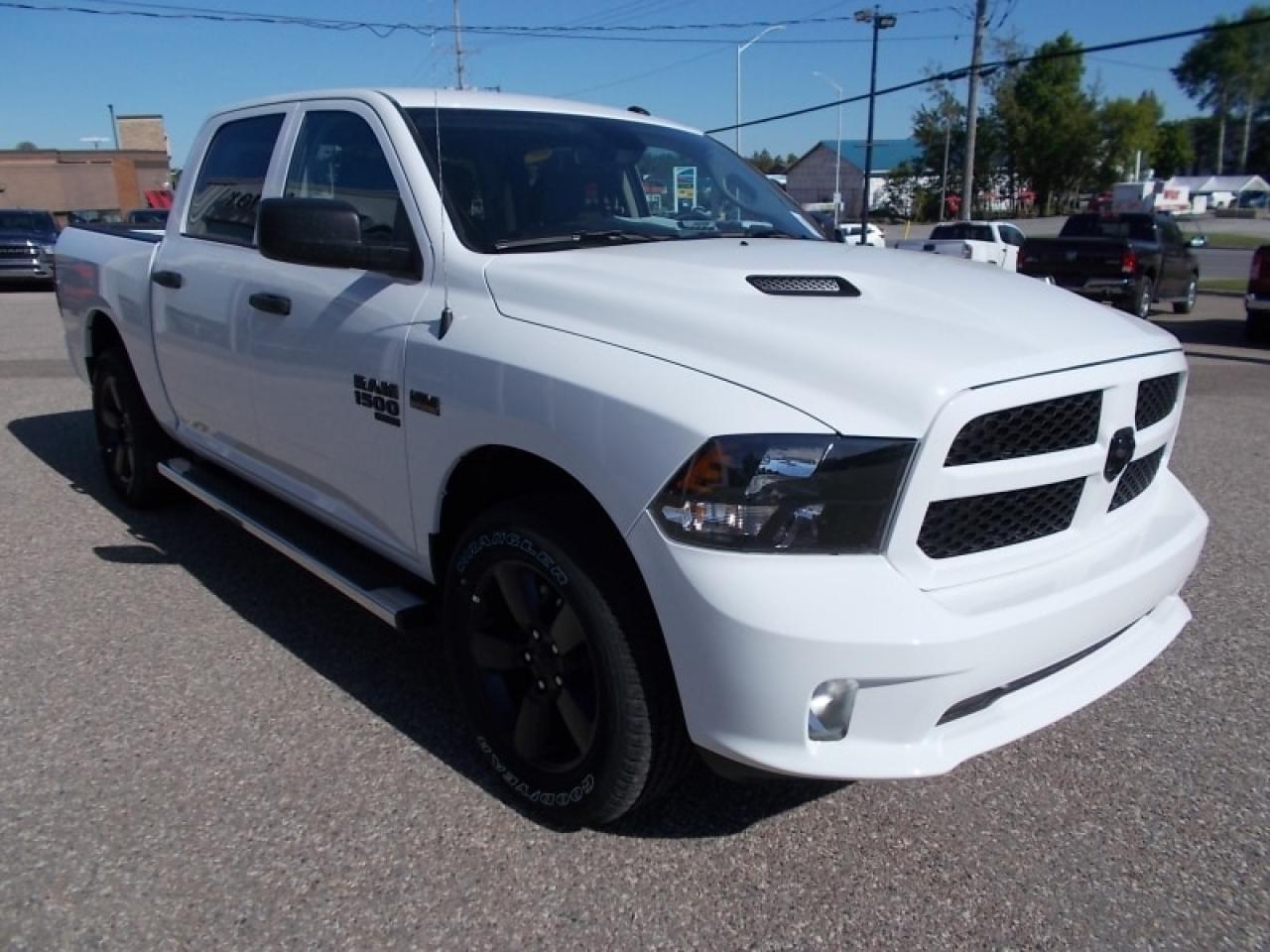 2022 RAM 1500 Classic TRADESMAN Photo2
