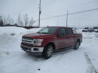 Used 2019 Ford F-150 XLT for sale in North Bay, ON