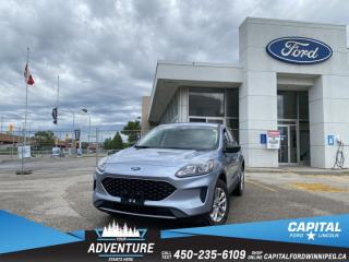 New 2022 Ford Escape SE AWD for sale in Winnipeg, MB