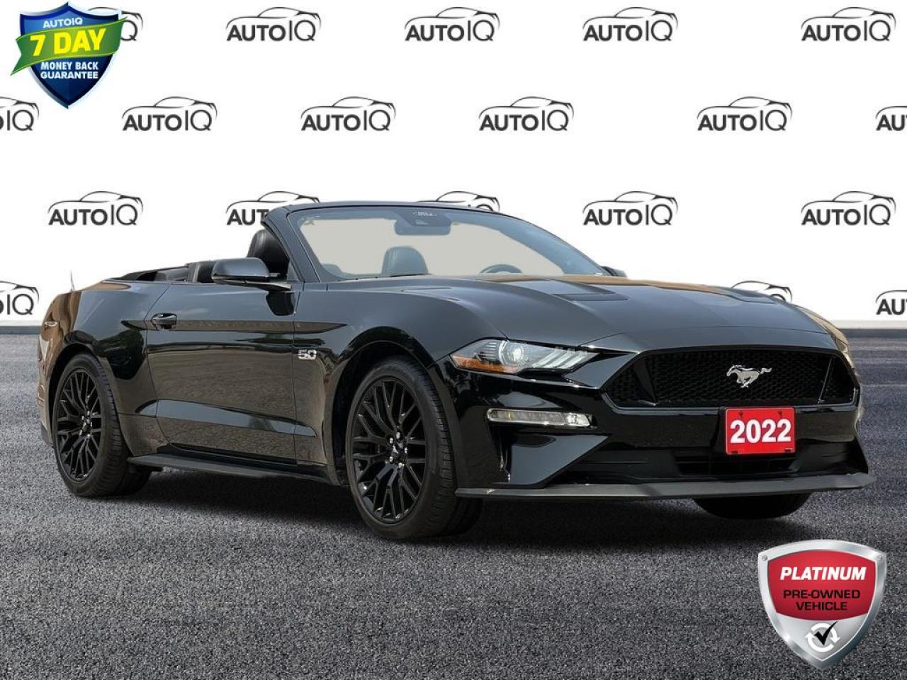 Used 2022 Ford Mustang GT Premium GT PERFORMANCE | MAGNERIDE SUSPENSION | ACTIVE VALVE EXHAUST for sale in Kitchener, ON