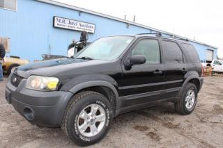 Used 2006 Ford Escape XLT for sale in Breslau, ON