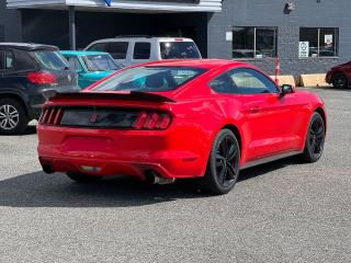 2015 Ford Mustang EcoBoost - Photo #3
