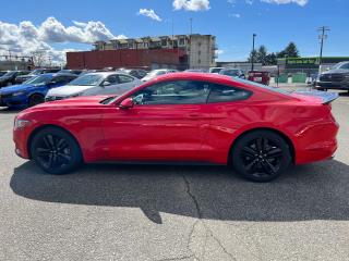 2015 Ford Mustang EcoBoost - Photo #8