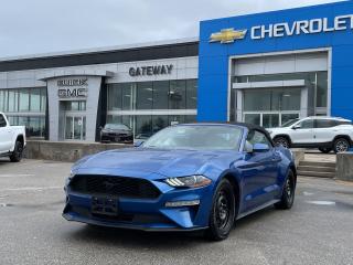Used 2018 Ford Mustang EcoBoost Premium for sale in Brampton, ON