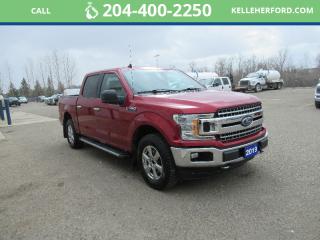 Used 2019 Ford F-150 XLT for sale in Brandon, MB