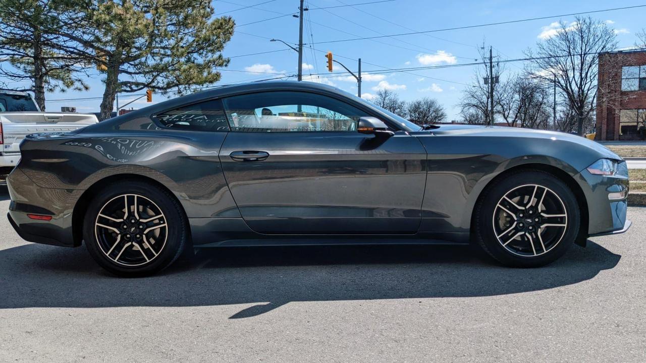 2019 Ford Mustang EcoBoost Photo2