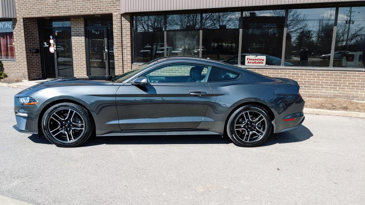 2019 Ford Mustang EcoBoost Photo3
