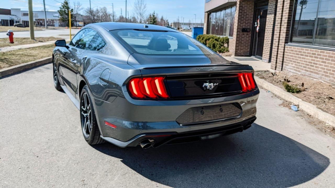 2019 Ford Mustang EcoBoost Photo4