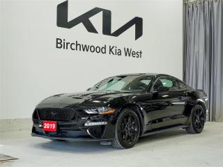 Used 2019 Ford Mustang GT Local | Black Accent PKG | 19