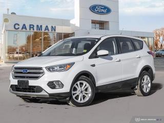 Used 2019 Ford Escape SE for sale in Carman, MB