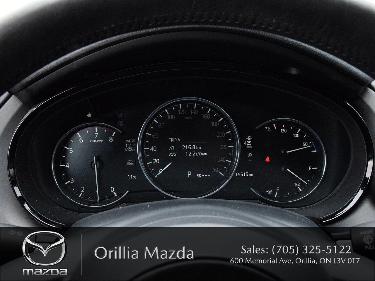 2020 Mazda CX-9 Signature Photo