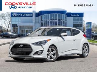 Used 2016 Hyundai Veloster Turbo MANUAL, DIMENSION AUDIO, PANO ROOF, NAVI, LEATHER for sale in Mississauga, ON