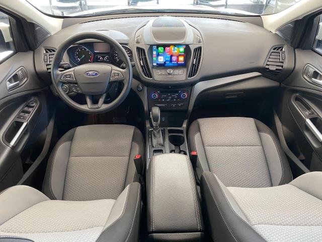 2019 Ford Escape SE+Apple Carplay+Heated Seats+Camera+CLEAN CARFAX Photo8