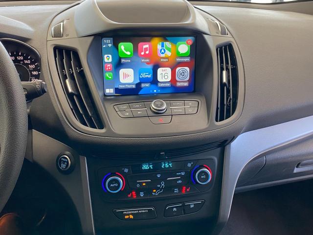 2019 Ford Escape SE+Apple Carplay+Heated Seats+Camera+CLEAN CARFAX Photo10