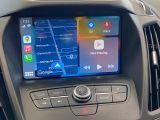 2019 Ford Escape SE+Apple Carplay+Heated Seats+Camera+CLEAN CARFAX Photo97