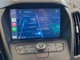 2019 Ford Escape SE+Apple Carplay+Heated Seats+Camera+CLEAN CARFAX Photo98