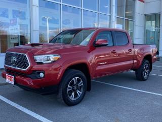 Used 2019 Toyota Tacoma SR5 V6 TRD SPORT PREMIUM-LEATHER+SUNROOF+MORE! for sale in Cobourg, ON