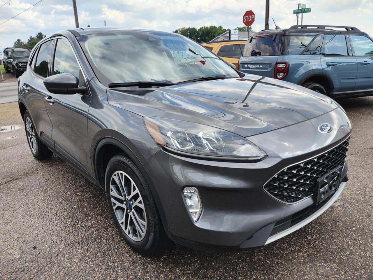 2022 Ford Escape SEL Photo