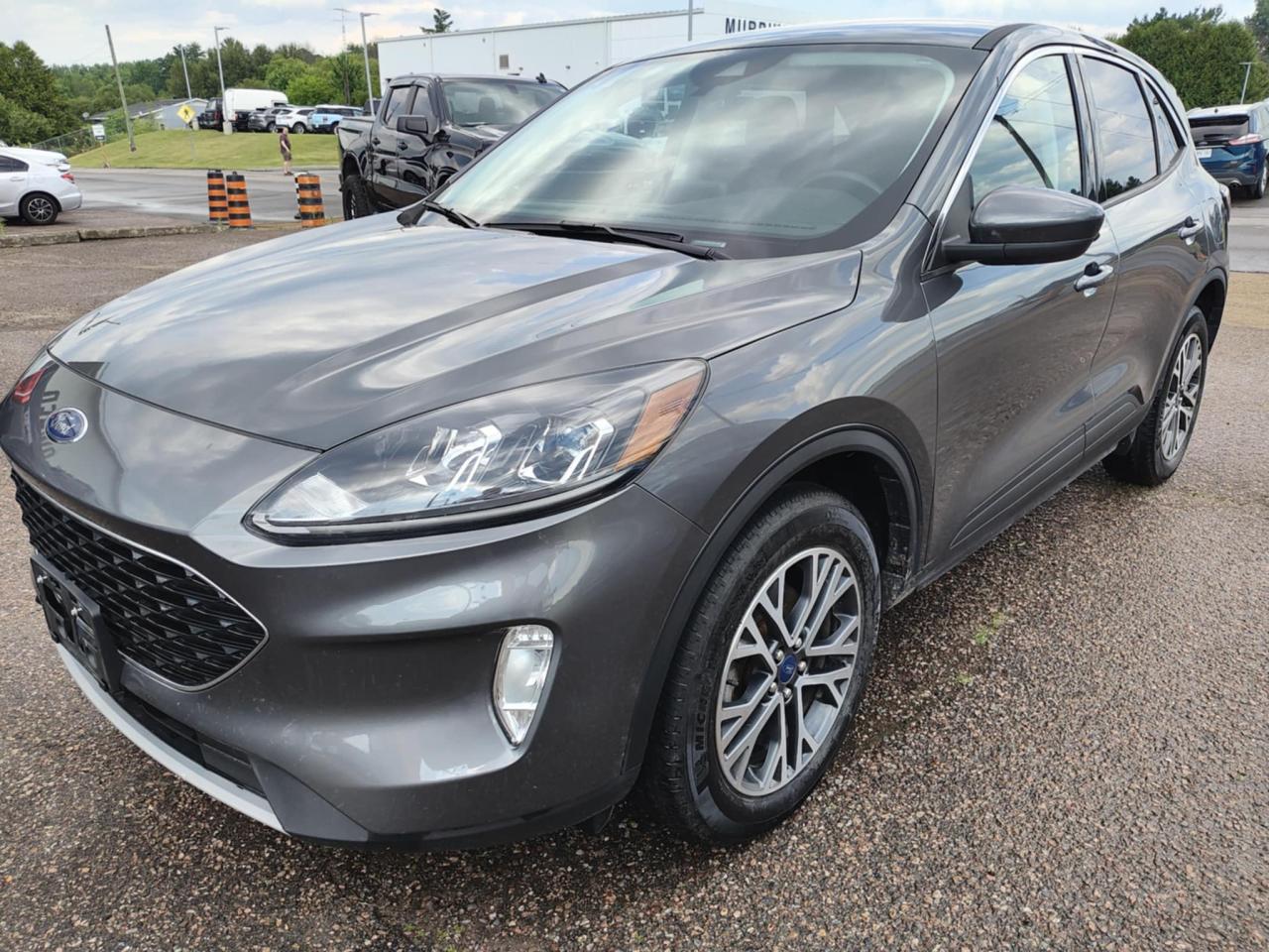 2022 Ford Escape SEL Photo0