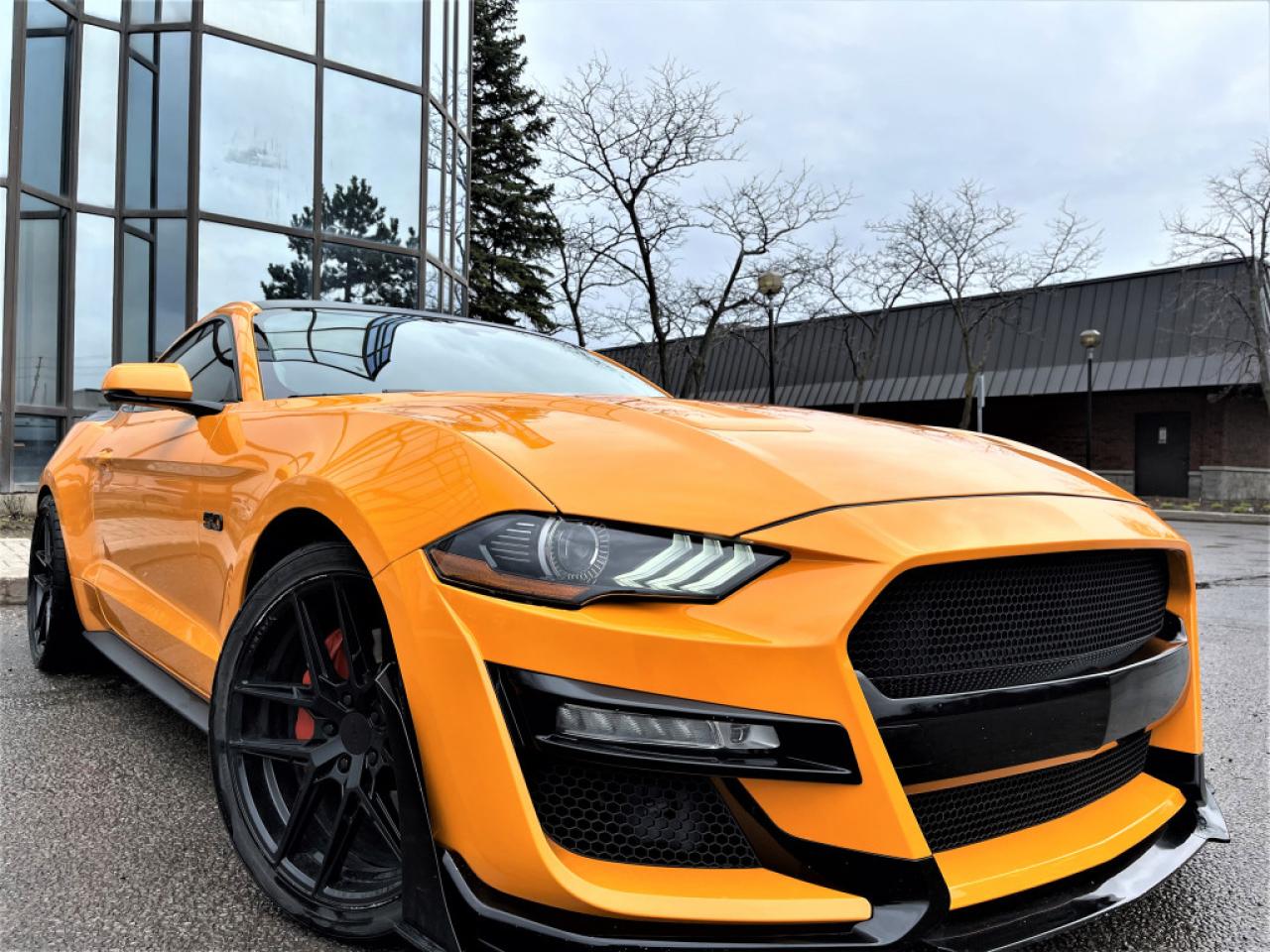 Used 2019 Ford Mustang GT FASTBACK|5.0 V8|LEATHER SEATS|ALLOYS|DIGITAL CLUSTER|NAVI for sale in Brampton, ON