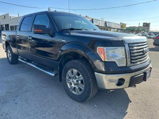 2010 Ford F-150 CERTIFIED, WARRANTY INCLUDED, TRAILER HATCH - Photo #10