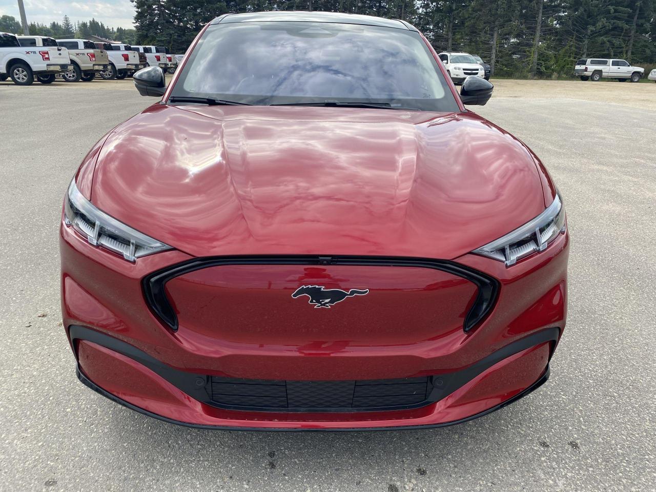 2022 Ford Mustang Mach-E Premium AWD Photo1