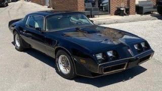 1981 Pontiac Trans Am  - Photo #1