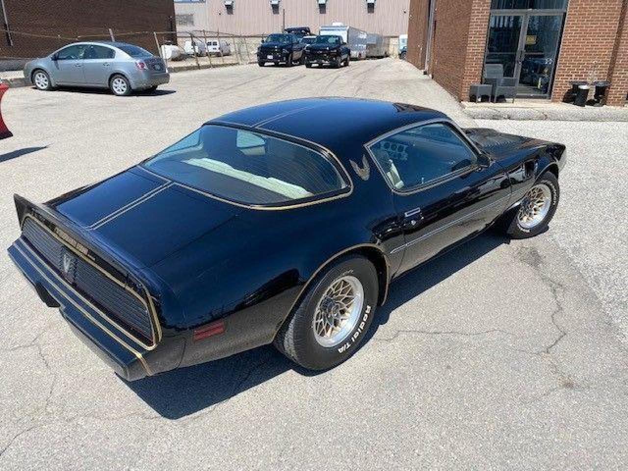 1981 Pontiac Trans Am  - Photo #2