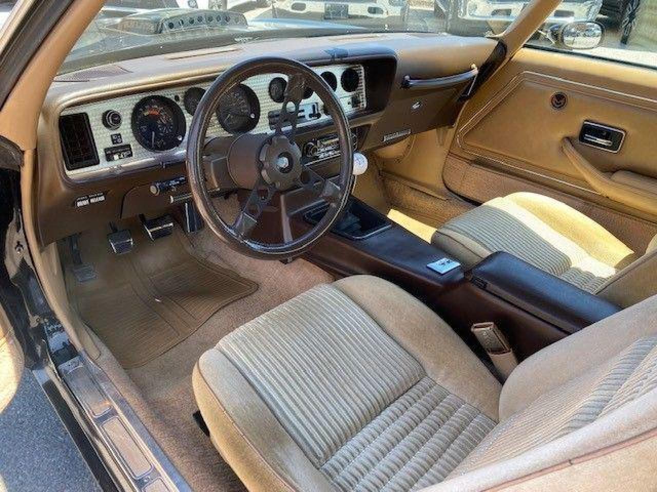 1981 Pontiac Trans Am  Photo2