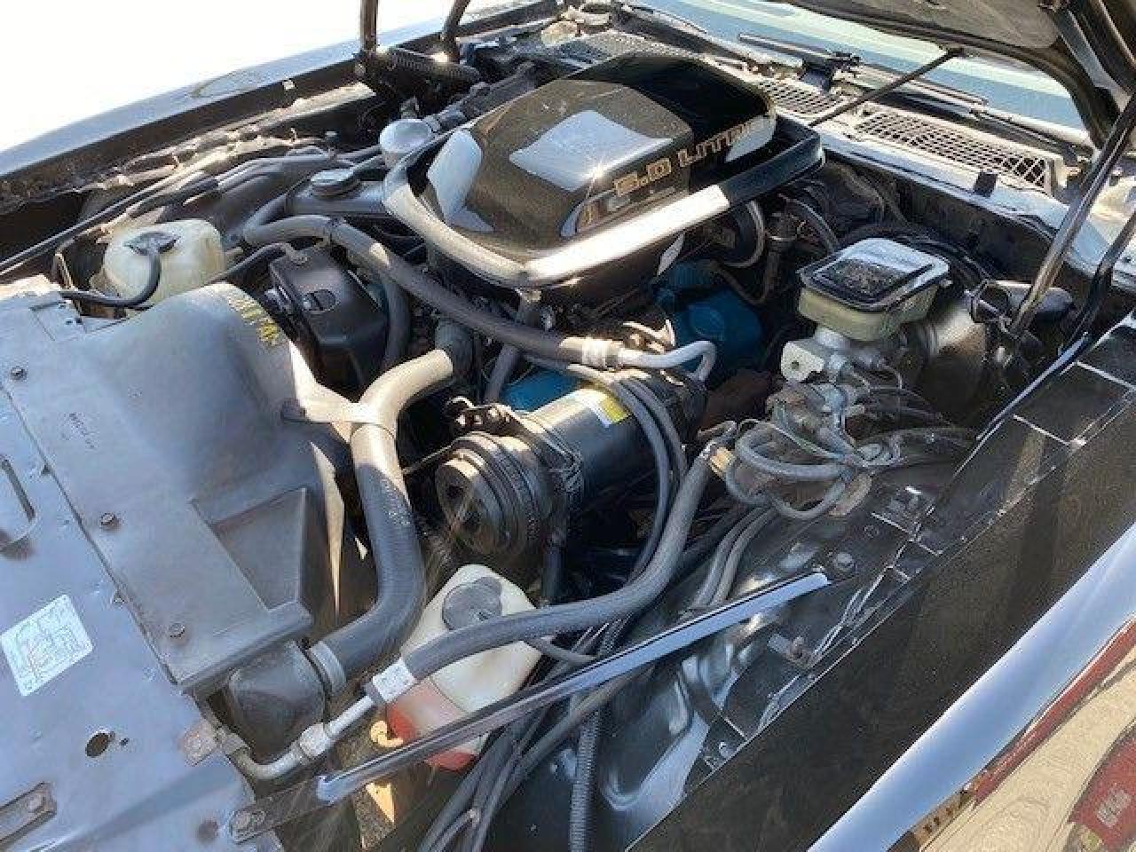 1981 Pontiac Trans Am  Photo4