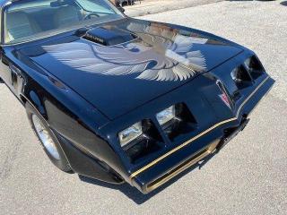 1981 Pontiac Trans Am  - Photo #6