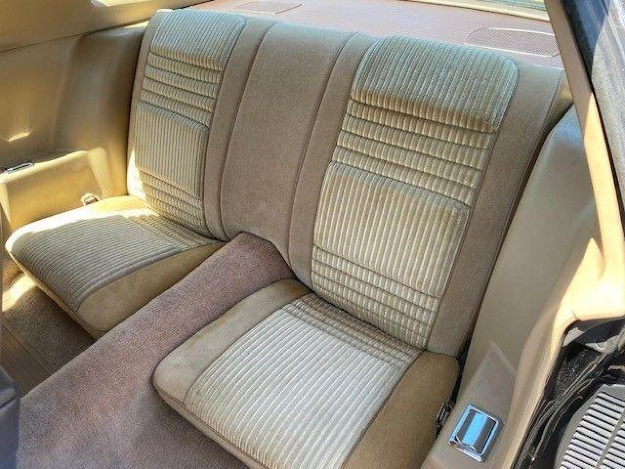 1981 Pontiac Trans Am  - Photo #12