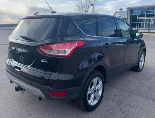 2013 Ford Escape SE - Photo #10