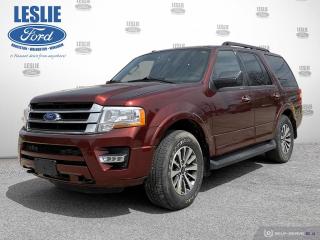 Used 2017 Ford Expedition XLT for sale in Harriston, ON