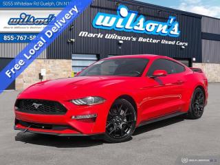 Used 2018 Ford Mustang EcoBoost Premium, 6-Speed Manual, Reverse Camera, Leather Trim, Heated Seats, & More! for sale in Guelph, ON
