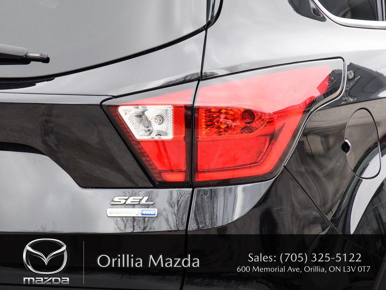 2019 Ford Escape ESCAPE SEL Photo