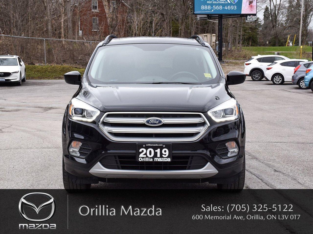 2019 Ford Escape ESCAPE SEL Photo