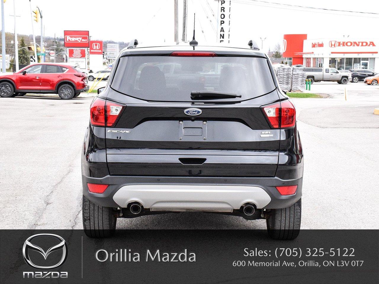 2019 Ford Escape ESCAPE SEL Photo