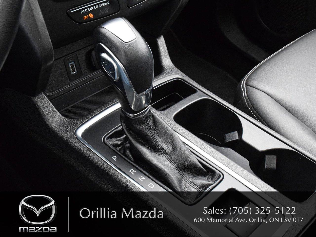 2019 Ford Escape ESCAPE SEL Photo