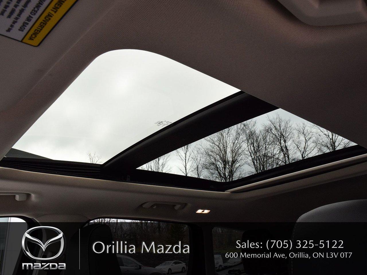 2019 Ford Escape ESCAPE SEL Photo