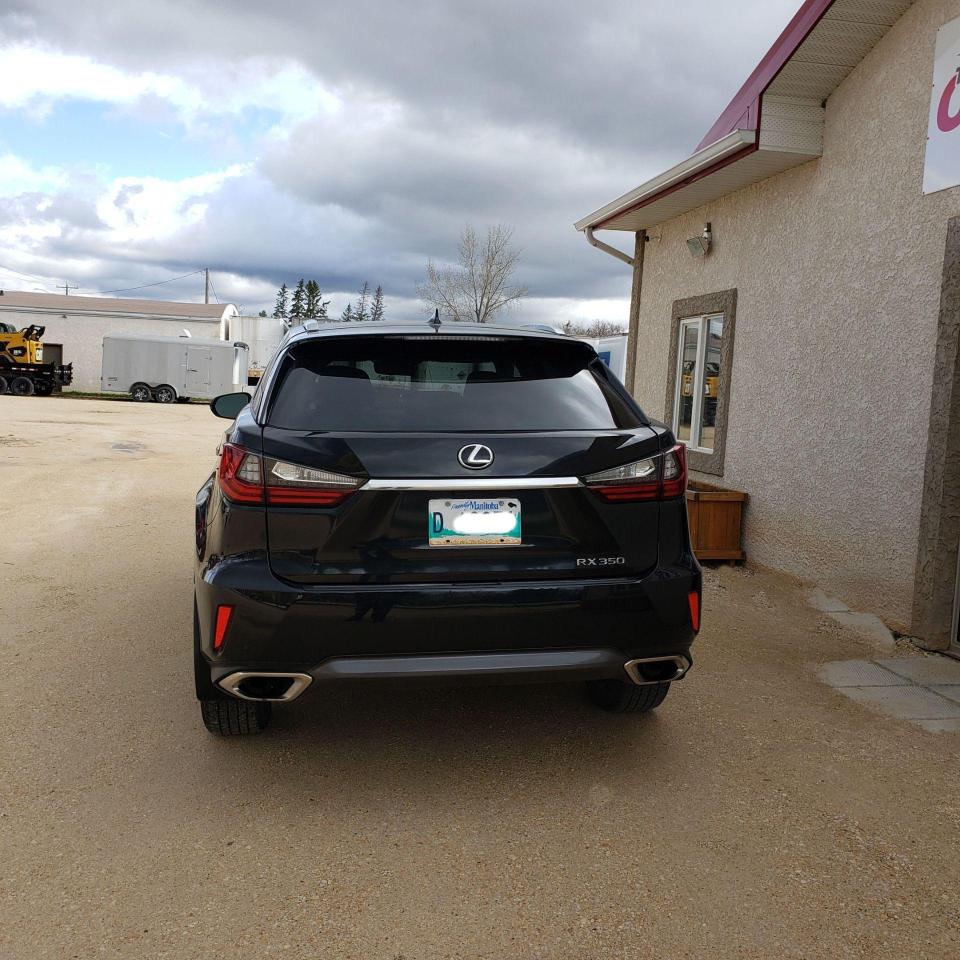 2018 Lexus RX RX 350 LUXURY ACCIDENT FREE - Photo #8